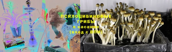 молекула духа Усолье-Сибирское