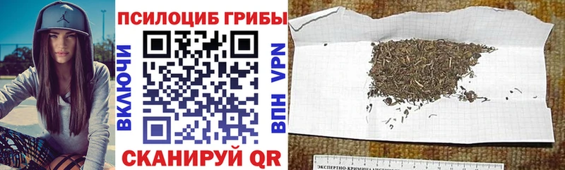 Галлюциногенные грибы GOLDEN TEACHER  Ростов-на-Дону 