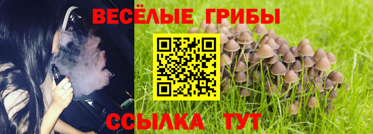 Ростов-на-Дону  Галлюциногенные грибы MAGIC MUSHROOMS  Вход с VPN 